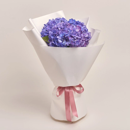 Product image , vendor code: 