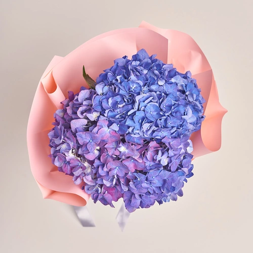 Product image Bouquet of 3 Purple Hydrangeas, packaging: Gradiens light blue, vendor code: 3419
