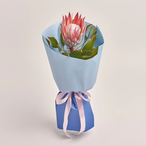 Product image Bouquet of 1 Protea, packaging: Gradiens blue, vendor code: 3420