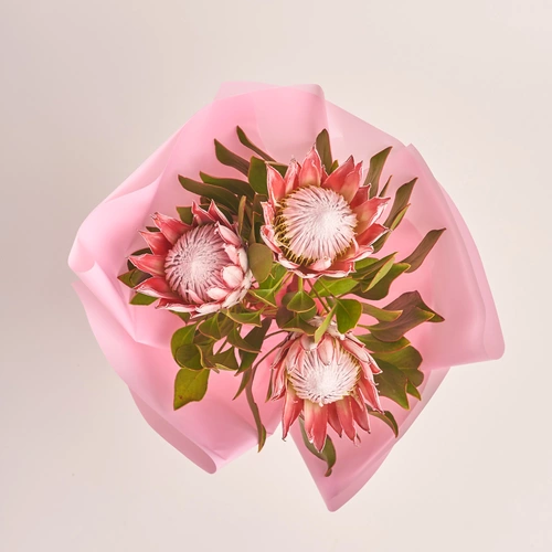 Product image Bouquet of 3 Proteas, packaging: Pink, vendor code: 3421