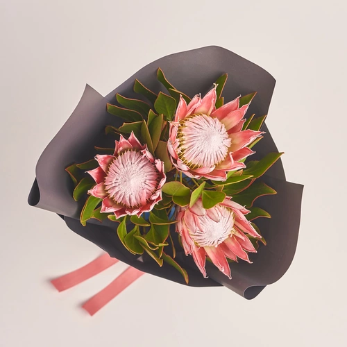 Product image Bouquet of 3 Proteas, packaging: 
Graphite, vendor code: 3421