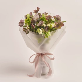 Bouquet of 15 Helleboruses mix