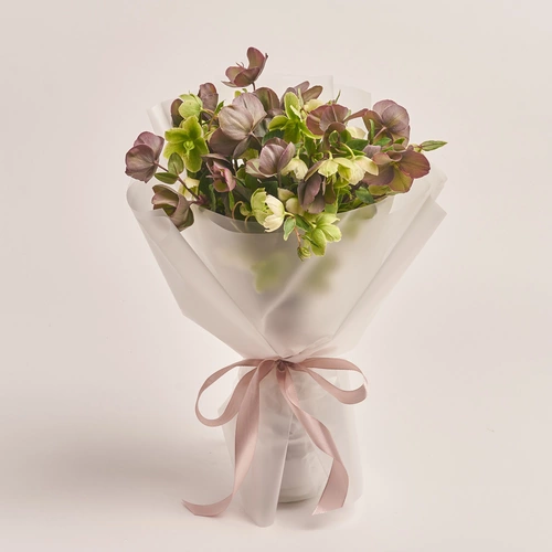 Product image Bouquet of 15 Helleboruses mix, packaging: Transparent, vendor code: 3422