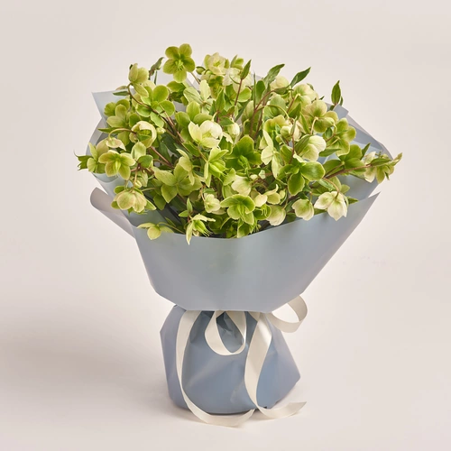 Product image Bouquet of 15 Green Helleboruses, packaging: Gray, vendor code: 3423