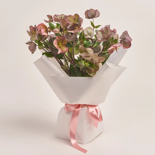 Product image Bouquet of 9 Red Helleboruses, packaging: White, vendor code: 3425