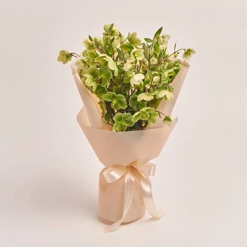 Product image Bouquet of 9 Green Helleboruses, packaging: Peach, vendor code: 3426