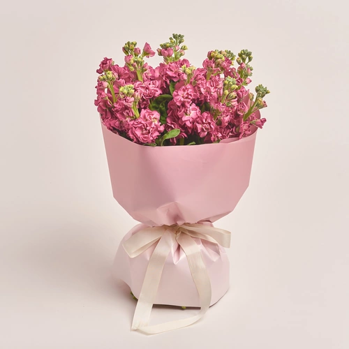 Product image Bouquet of 15 Matthioles Cherry, packaging: Gradiens pink, vendor code: 3427