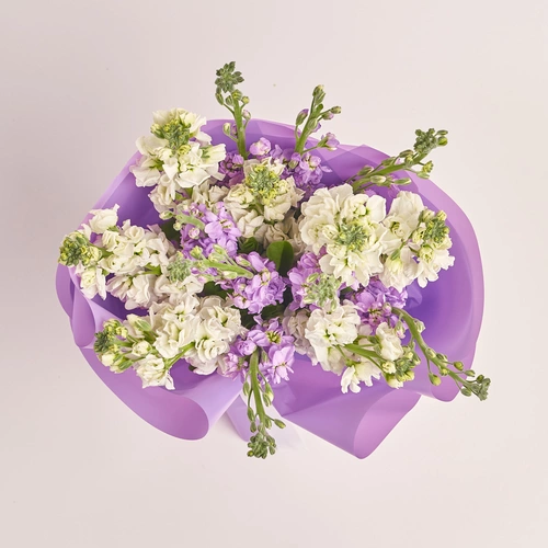 Product image Bouquet of 15 doublecoloured Matthioles mix, packaging: Purple, vendor code: 3428