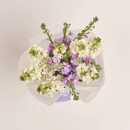 Product image Bouquet of 15 doublecoloured Matthioles Мix, packaging: Transparent, vendor code: 3428