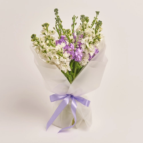 Product image Bouquet of 15 doublecoloured Matthioles Мix, packaging: Transparent, vendor code: 3428
