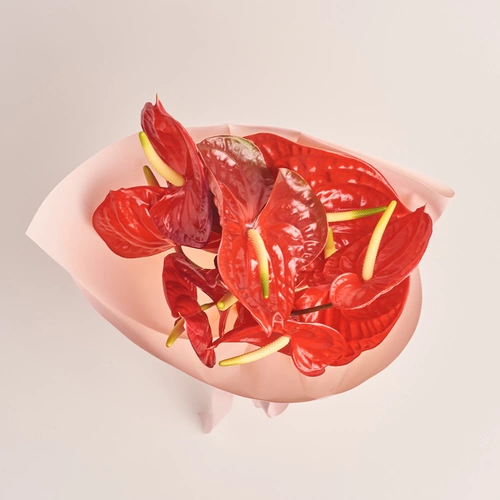 Product image Bouquet of 9 Red Аnthuriums, packaging: Kafin rose, vendor code: 3431