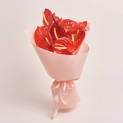 Product image Bouquet of 9 Red Аnthuriums, packaging: Kafin rose, vendor code: 3431