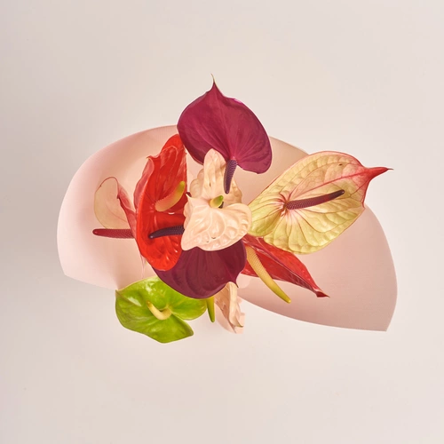 Product image Bouquet of 9 Аnthuriums Мix, packaging: Kafin rose, SKU: 3432