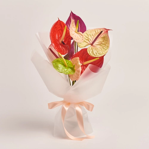 Product image Bouquet of 9 Аnthuriums mix, packaging: Transparent, vendor code: 3432