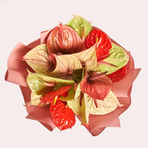 Product image Bouquet of 15 Аnthuriums Мix, packaging: Kafin rust, SKU: 3434
