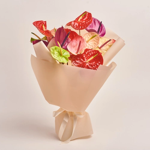 Product image Bouquet of 15 Аnthuriums mix, packaging: Peach, vendor code: 3434