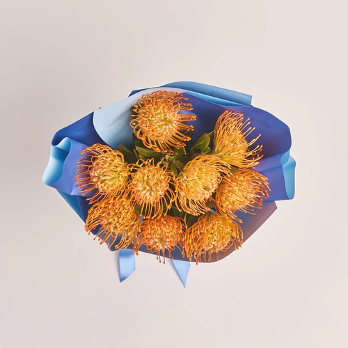 Product image Bouquet of 9 Leucospermums, packaging: Gradiens blue, vendor code: 3436
