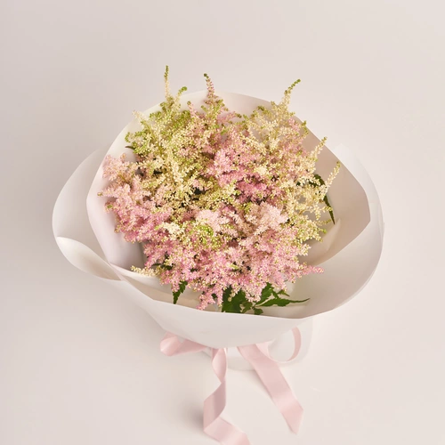 Product image Bouquet of 25 Astilbes mix, packaging: White, vendor code: 3439