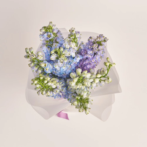 Зображення товару Букет 9 Дельфініумів Мікс, пакування: Прозора, артикул: 3440