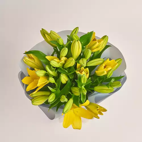 Product image Bouquet of 9 Yellow Lilies, packaging: Gray, vendor code: 3442