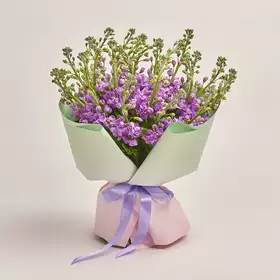 Bouquet of 25 Matthioles Lavender