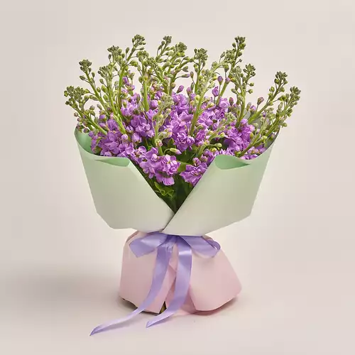 Product image Bouquet of 25 Matthioles Lavender, packaging: Gradiens tiffany, vendor code: 3445