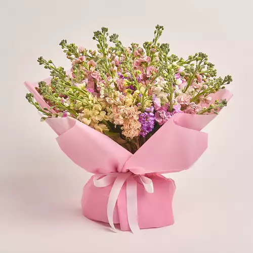 Product image Bouquet of 51 Matthioles mix, packaging: Pink, vendor code: 3446