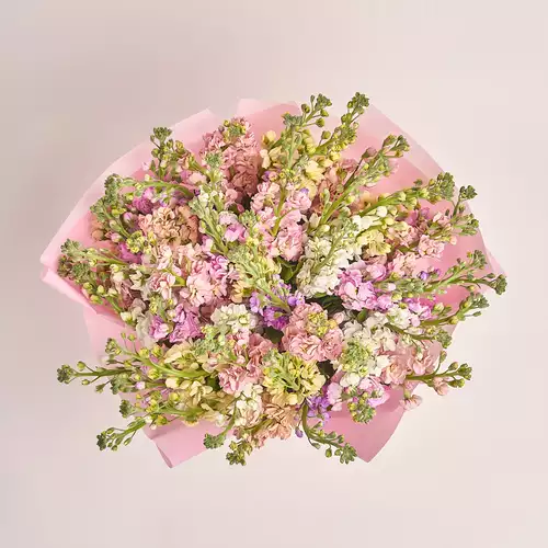 Product image Bouquet of 51 Matthioles mix, packaging: Pink, vendor code: 3446