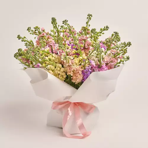 Product image , vendor code: 