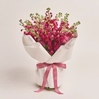 Bouquet of 25 doublecoloured Matthioles mix