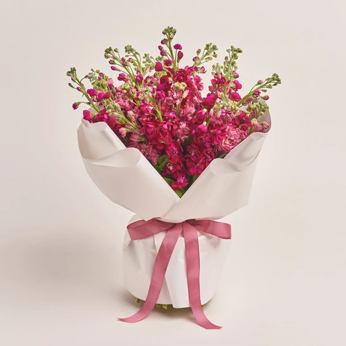 Product image Bouquet of 25 doublecoloured Matthioles mix, packaging: White, vendor code: 3447