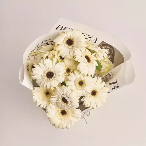 Product image Bouquet of 15 White Gerberas, packaging: Newspaper, vendor code: 3449