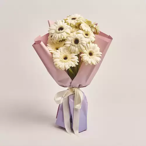 Product image Bouquet of 15 White Gerberas, packaging: Gradiens violet, vendor code: 3449