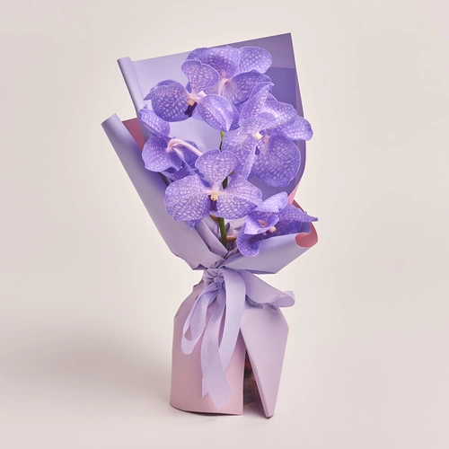 Product image Bouquet of 1 Vanda Orchid, packaging: Gradiens violet, vendor code: 3450