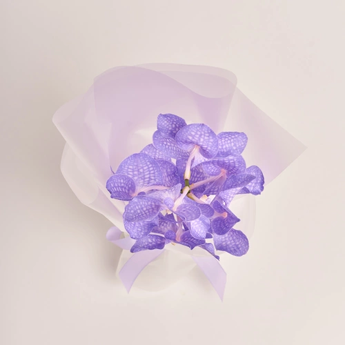 Product image Bouquet of 1 Vanda Orchid, packaging: Transparent, vendor code: 3450