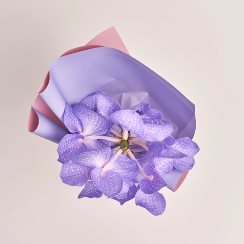 Product image Bouquet of 1 Vanda Orchid, packaging: Gradiens violet, vendor code: 3450
