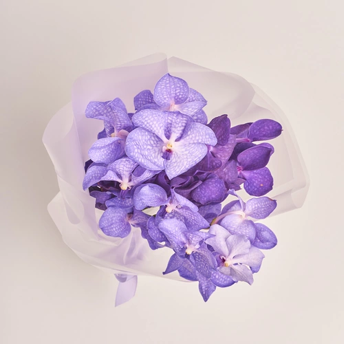 Product image Bouquet of 3 Vanda Orchids, packaging: Transparent, vendor code: 3451
