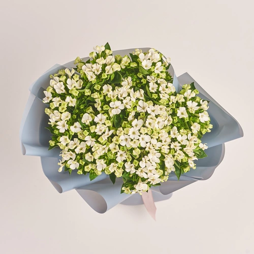 Product image Bouquet of 15 White Bouvardias, packaging: Gray, vendor code: 3452