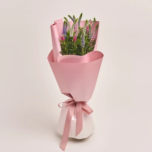 Product image Bouquet of 15 Veronicas mix, packaging: Gradiens pink, vendor code: 3453