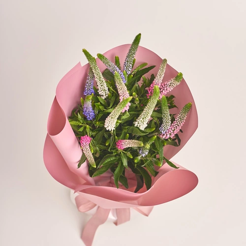 Product image Bouquet of 15 Veronicas mix, packaging: Gradiens pink, vendor code: 3453