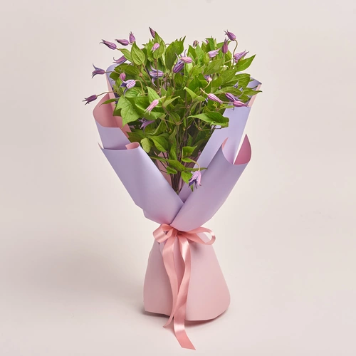 Product image Bouquet of 15 Clematises, packaging: Gradiens violet, vendor code: 3454