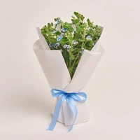 Bouquet of 15 Oxypetalums