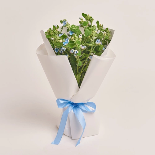 Product image Bouquet of 15 Oxypetalums, packaging: White, vendor code: 3455