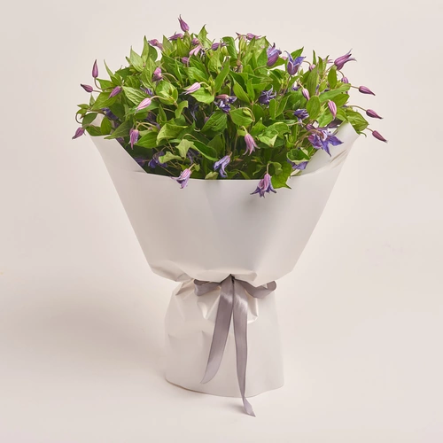 Product image Bouquet of 35 Clematises, packaging: White, vendor code: 3456