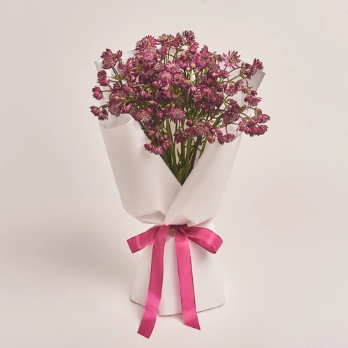 Product image Bouquet of 15 Astrantias, packaging: White, vendor code: 3457