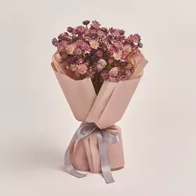 Bouquet of 15 Astrantias mix