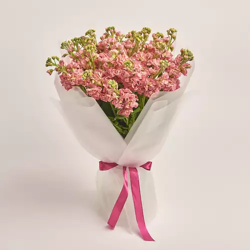 Product image Bouquet of 25 Peach Matthioles, packaging: Transparent, vendor code: 3459