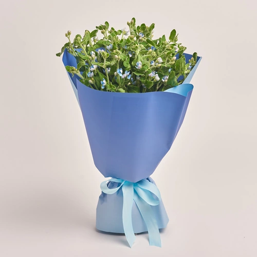 Product image Bouquet of 25 Oxypetalums, packaging: Gradiens blue, vendor code: 3461