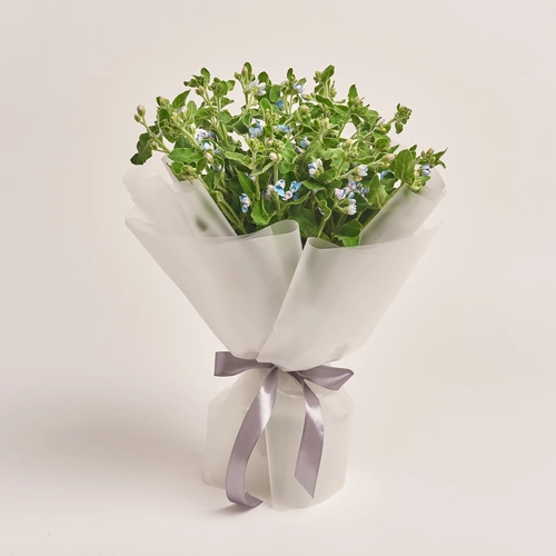 Product image , vendor code: 