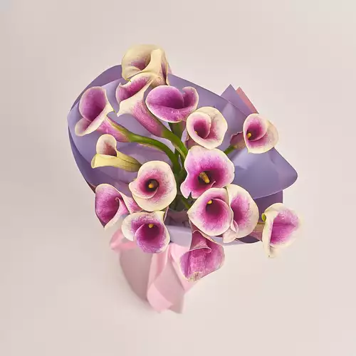 Product image Bouquet of 15 Callas Bicolour, packaging: Gradiens violet, vendor code: 3465